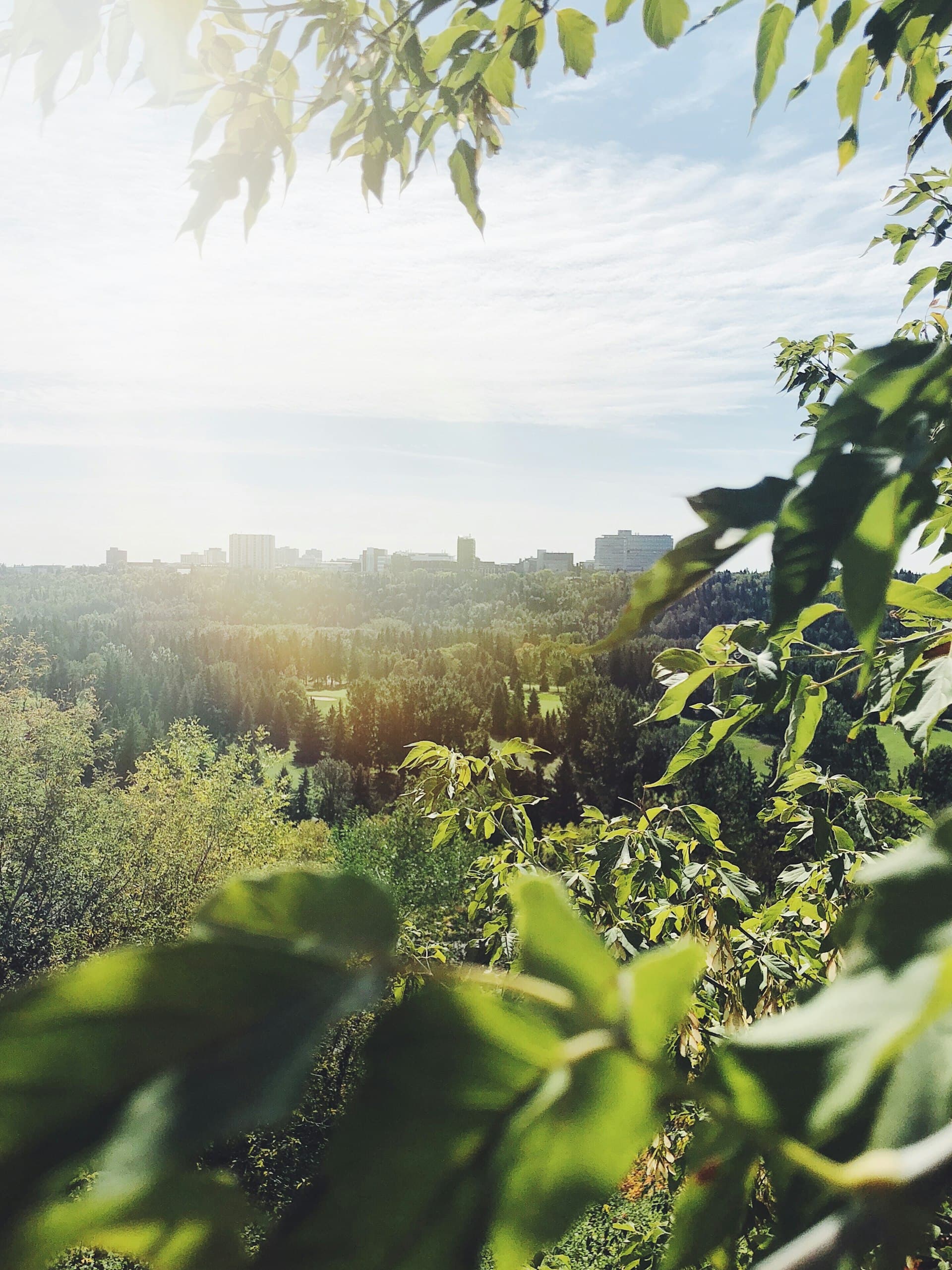 Edmonton skyline