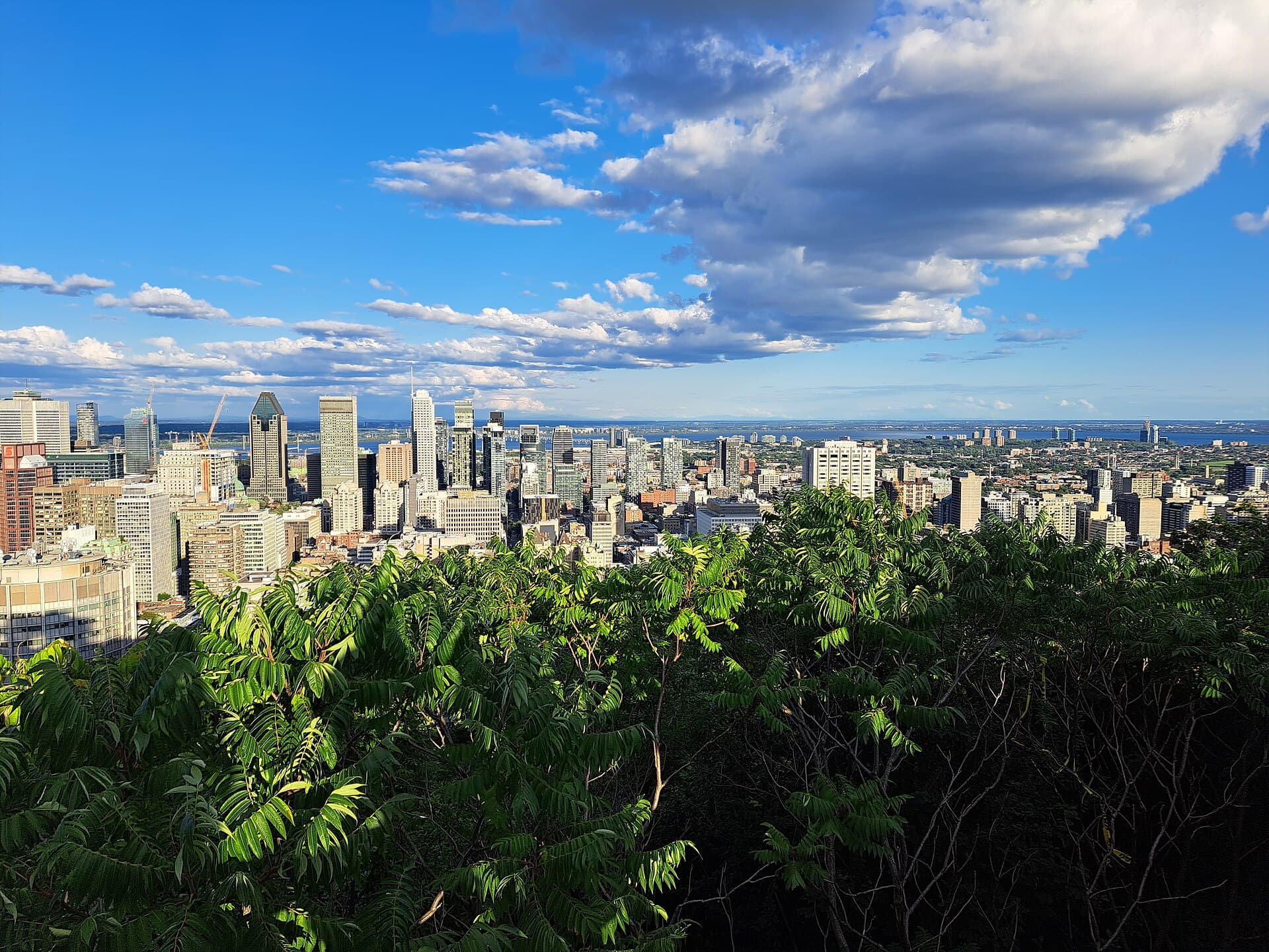 Montreal skyline